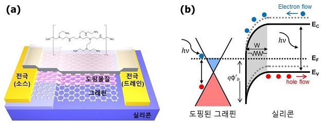 ▲ 도핑된 그래핀-실리콘 광센서 모식도.ⓒ포스텍