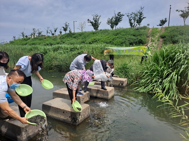 ▲ 칠곡군은 지난 2일 왜관읍 동정천에서 여름철 해충방제와 하천 생태계 보전을 위해 토종 미꾸리 5만 마리를 방류했다.ⓒ칠곡군