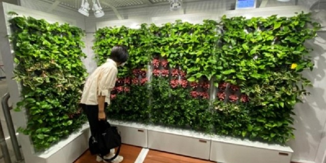 ▲ 대전도시철도 1호선 대전역에 조성된 실내정원 스마트가든.ⓒ대전도시철도공사