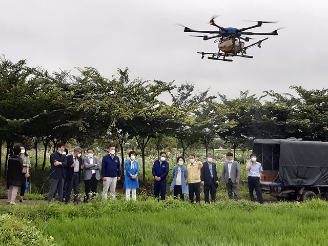 ▲ 군위군 농업기술센터는 지난 6일 군위읍 정리 일원에서 드론을 이용한 긴급병해충 협업 공동방제를 실시했다.ⓒ군위군