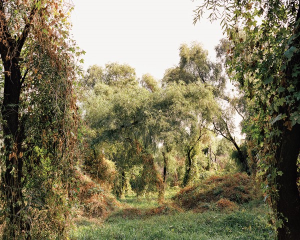 ▲ 밤섬.ⓒ김승구 사진작가