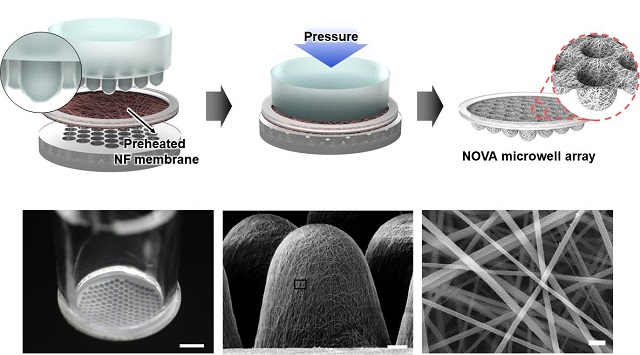 ▲ 나노섬유 멤브레인 기반 나노성형 공정(위) 및 나노섬유 마이크로웰 어레이(아래).ⓒ포스텍