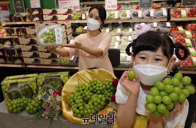 ▲ 15일 오전 이마트 성수점에서 모델들이 샤인머스캣을 소개하고 있다. ⓒ이마트