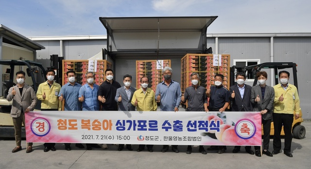 ▲ 청도군(군수 이승율)은 지난 21일 복숭아 2.7t 선적을 시작으로 싱가포르 수출을 개시했다.ⓒ청도군
