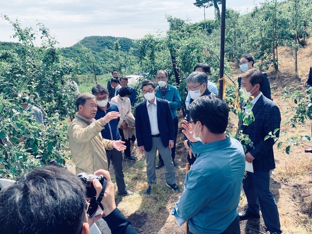 ▲ 장욱현 영주시장을 비롯한 관계 공무원들이 이상저온으로 피해를 입은 농가를 방문했다.ⓒ영주시