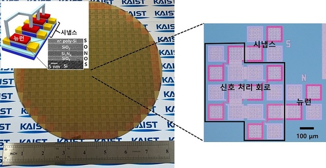 ▲ KAIST상용화된 CMOS 공정으로 제작된 단일 트랜지스터 기반 뉴런과 시냅스.ⓒKAIST