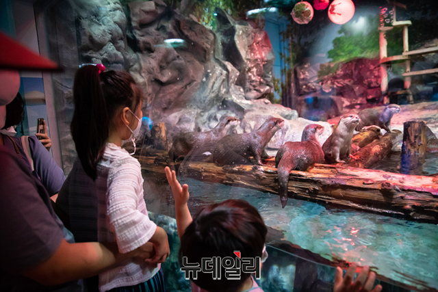 ▲ 서울 송파구 롯데월드 아쿠아리움 수달 수조 앞을 찾은 관람객들이 지난 6일 오후 특별 호러 콘셉트 수달 생태설명회 '너의 목소리가 들려'를 관람하고 있다. ⓒ롯데월드