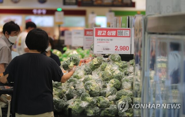 ▲ 장마와 폭염, 태풍 등 악재로 채소 가격이 급등한데 이어 라면, 즉석밥, 과자 등 가공식품 가격마저 올라 식탁물가에 비상등이 켜졌다. ⓒ연합뉴스