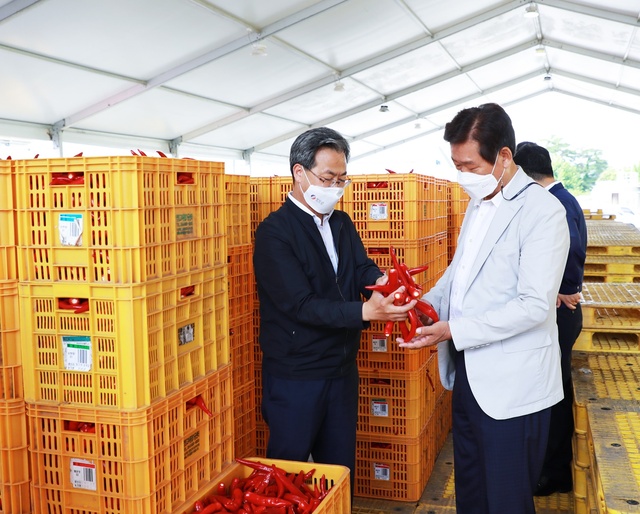 ▲ 영양군(군수 오도창)에서는 2006년 설립한 지방공기업인 영양고추유통공사를 통하여 2021년 8월 10일부터 9월 30일까지 2021년산 홍고추 수매를 하고 있다.ⓒ영양군