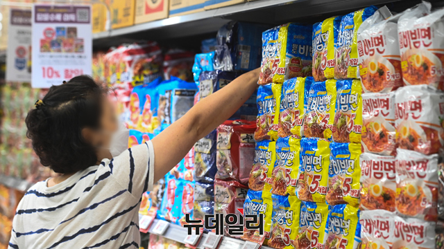 ▲ ⓒ뉴데일리DB