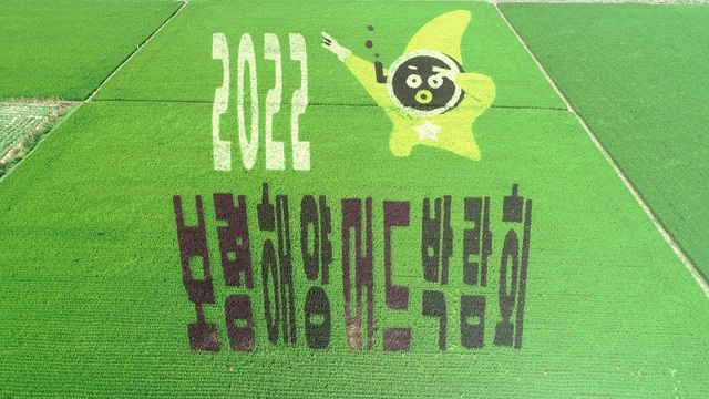 ▲ 2022보령해양며드박람회 유색벼 논그림.ⓒ보령시