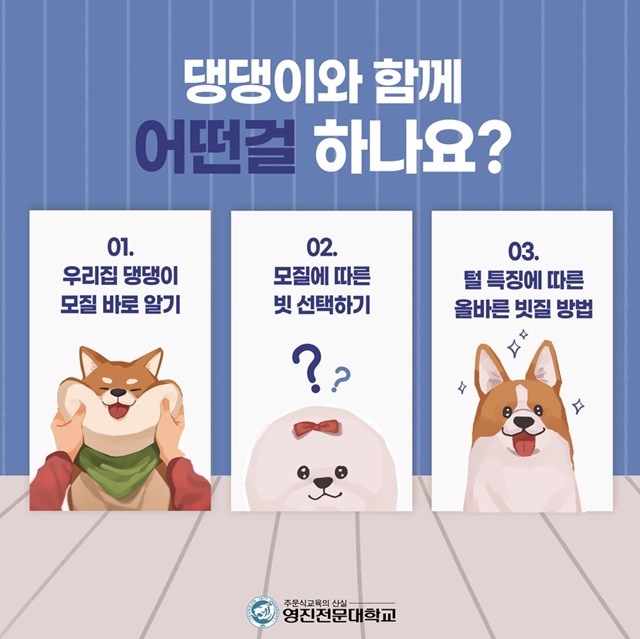 ▲ 대구 영진전문대학교(총장 최재영)가 반려인과 반려동물이 행복한 펫케어 문화 정착에 나선다.ⓒ영진전문대