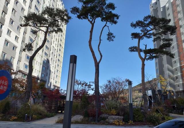 ▲ 대구시는 우수한 민간 조경지를 발굴·시상해 녹색도시 조성에 시민들의 적극적인 참여를 유도하고자 ‘제26회 대구광역시 조경상’을 공모한다.ⓒ대구시