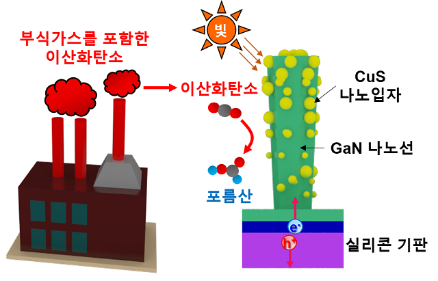 ▲ 이산화탄소 환원용 광전극 개념도.ⓒ포스텍