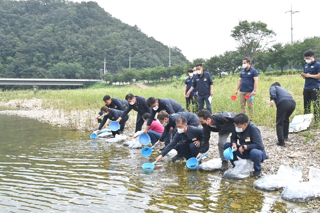 ▲ 청송군(군수 윤경희)에서는 지난 8월 31일 청송읍 청운천, 주왕산면 라리·항리, 부남면 감연보, 안덕면 방호정 등 주요 하천에 토종 어패류(다슬기, 붕어, 메기, 동자개, 미꾸라지) 방류를 실시했다.ⓒ청송군
