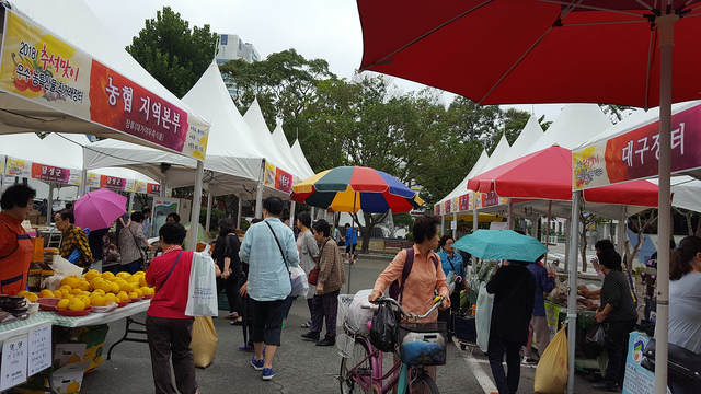 ▲ 대구시는 추석을 앞두고 대구·경북에서 생산한 우수한 품질의 농특산물을 시중가보다 10~30% 저렴하게 구매할 수 있는 현장 직거래 장터를 준비했다.ⓒ대구시