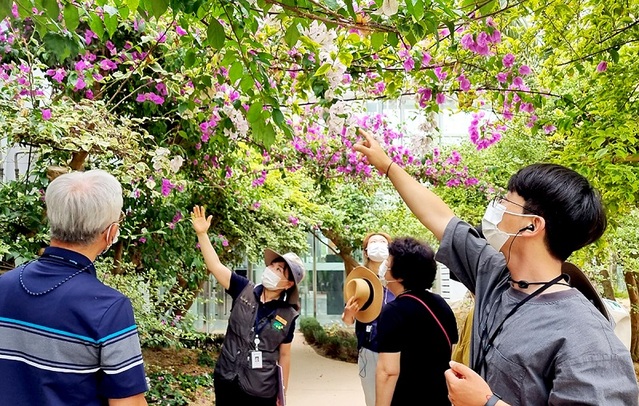 ▲ 국립세종수목원을 방문한 시민들이 산림에 대해 숲해설사의 설명을 듣고 있다.ⓒ국립세종수목원