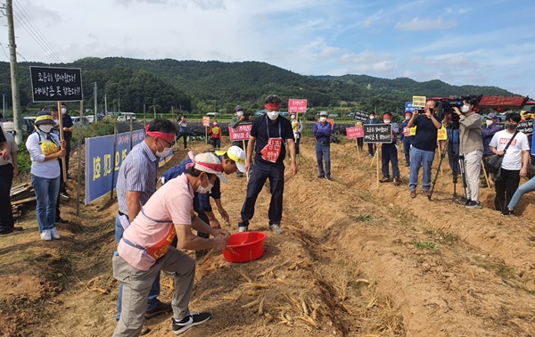 ▲ 전국인삼농업대책위원회가 13일 충북 보은군 탄부면 한 인산밭에서 인삼가격 폭락과 관련해 기자회견을 가진 뒤 트랙터 등으로 인삼밭을 갈아엎었다.ⓒ보은군