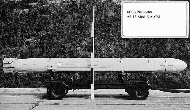 ▲ 발사관 수납상태일 때의 Kh-55 순항미사일. 수직미익과 공기흡입구, 주익이 본체에 수납된 상태다. ⓒ군사웹진 '호주공군력' 관련 게시물 캡쳐.