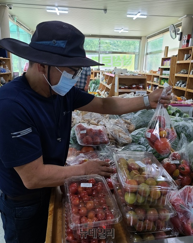 ▲ 충북 청주시 상당구 낭성면 낭성로컬푸드 매장에서 한 농민이 자신이 생산한 토마토를 매장 진열대에 올려놓고 있다.ⓒ뉴데일리 DB