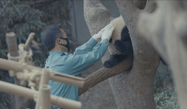 ▲ 영상촬영조명과 캡스톤디자인 비드라마 4팀이 만든 동물원 어벤저스 사육사 영상.ⓒ한국영상대