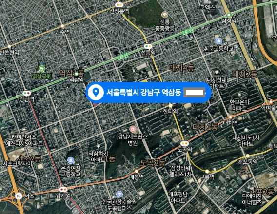 ▲ 천화동인 4호 소유주 남욱 변호사가 최근 매입한 것으로 알려진 서울 강남구 역삼동 건물
 주변도. ⓒ네이버 지도 캡처