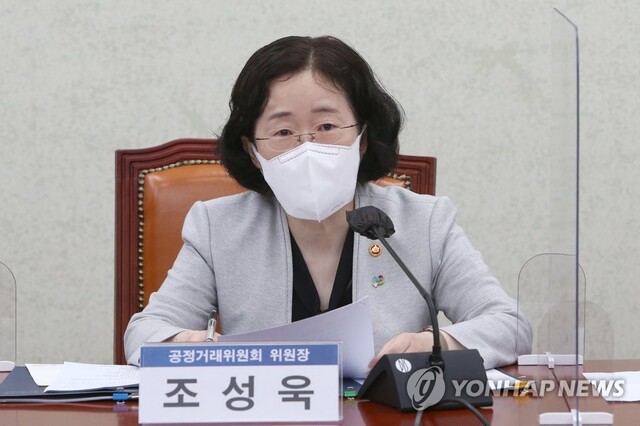 ▲ 조성욱 위원장은 대한항공과 아시아나항공 합병심사를 연내 마무리하겠다고 밝혔다. ⓒ연합뉴스 제공