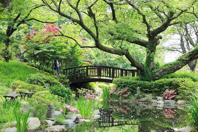 ▲ 경주엑스포대공원 비밀의 정원 전경.ⓒ경주엑스포