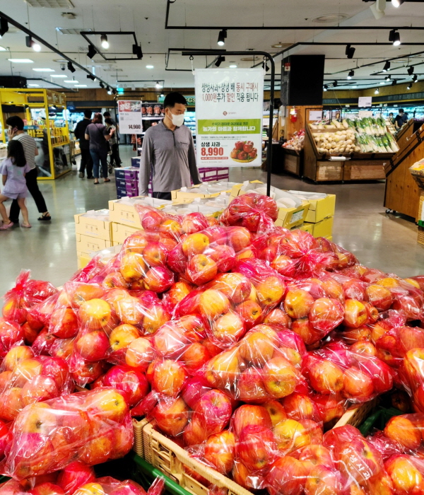 ▲ 롯데마트 매장에서 판매하고 있는 못난이 사과.ⓒ충주시