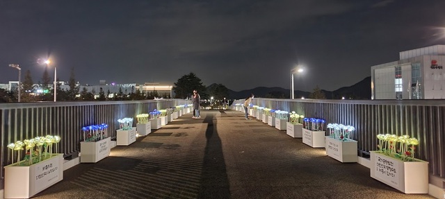 국회 세종의사당 건립 기념 보행녹도에 설치된 LED 화분.ⓒ세종시