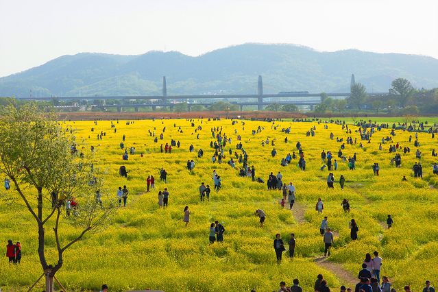 ▲ 대구시는 금호강 하중도 명칭 공모에 제안된 다양한 이름 중 1차심사를 거쳐 선정된 10개의 명칭에 대해 시민 선호도 조사를 실시하고 명칭 선정위원회를 개최해 최종 명칭안을 결정할 계획이다.ⓒ대구시