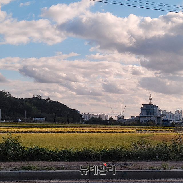 ▲ 남욱 변호사의 장인 정씨 등이 소유한 경기 오산시의 '부산1지구' 일원. ⓒ박찬제 기자