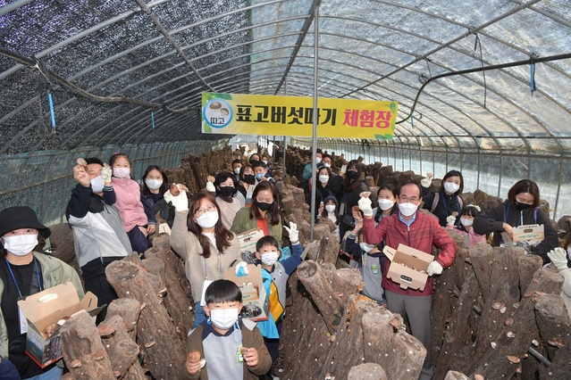 ▲ 청도군(이승율 군수)은 27일 코로나19 장기화로 위축된 지역경제 활성화와 친환경농산물 소비촉진을 위해 운문면 오진리 일원에서 ‘친환경농업 체험 행사’를 가졌다.ⓒ청도군