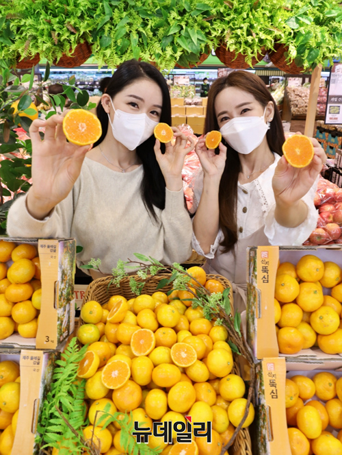 ▲ 28일, 서울 중구 서울역점에서 모델들이 '노지 조생감귤'을 홍보하고 있다. ⓒ롯데쇼핑