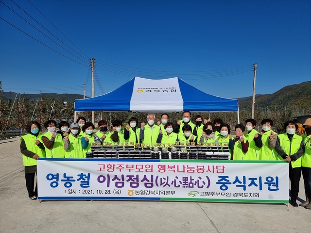 ▲ 경북농협(본부장 김춘안)과 고향주부모임 경북도지회(회장 강정미)는 28일 안동시 길안면, 임동면, 임하면 관내 사과수확 일손돕기 자원봉사자 및 농업인을 위한 중식지원 행사를 실시했다.ⓒ경북농협