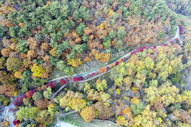 ▲ 드론으로 촬영한 좌구산 휴양랜드 일원.ⓒ증평군