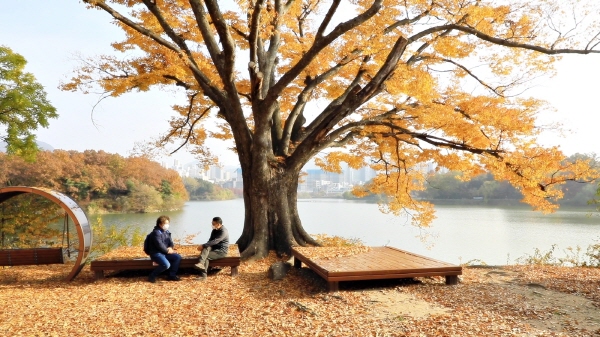 ▲ KBS1 방송 ‘6시 내고향’ 방송팀이 아름다운 둘레길 충주 호암지를 촬영하고 있다.
ⓒ충주시