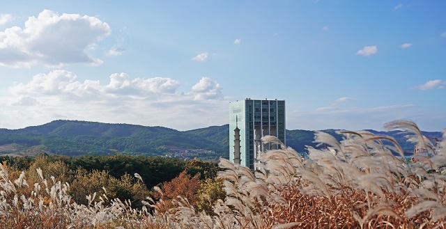 ▲ 경주엑스포대공원 ‘화랑숲’ 내 자리한 역새풀밭 전경.ⓒ경주엑스포