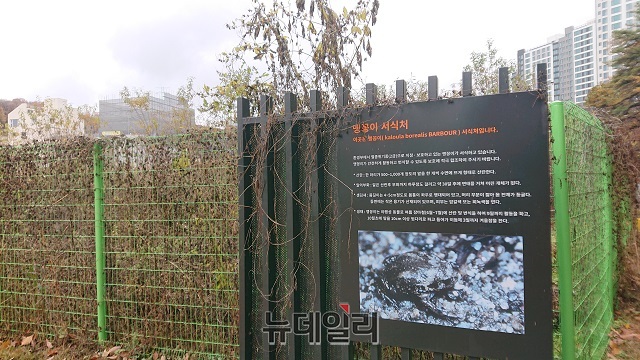 ▲ 경기도 성남시 분당구 대장동 맹꽁이 대체서식지. ⓒ이상무 기자