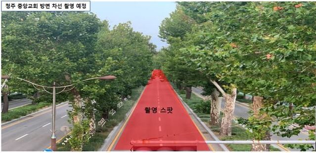 ▲ ‘20세기 소녀’ 촬영으로 인한 도로통제 지역인 청주 가로수길 현장.ⓒ청주영상위원회