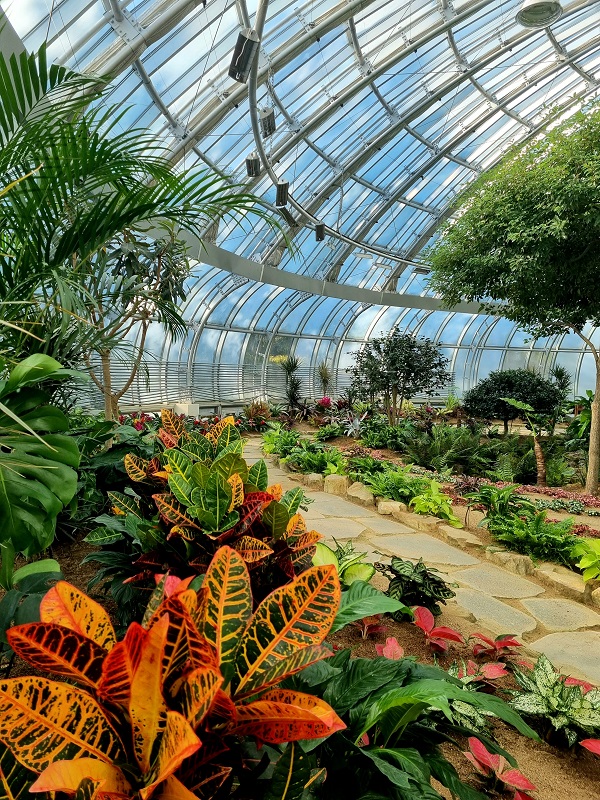 ▲ 강릉솔향수목원 전시온실 내부.ⓒ강릉시