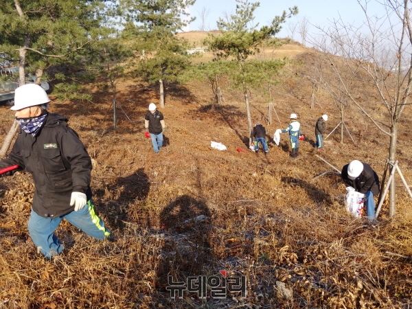 ▲ 충주시는 중앙탑면 봉황리 일원에서 ‘숲 가꾸기 1일 체험 행사’를 개최했다.ⓒ뉴데일리D/B