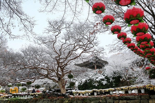 ▲ 23일 충남 서산 개심사에 첫 눈이 내려 아름다운 설경을 보여주고 있다.ⓒ서산시