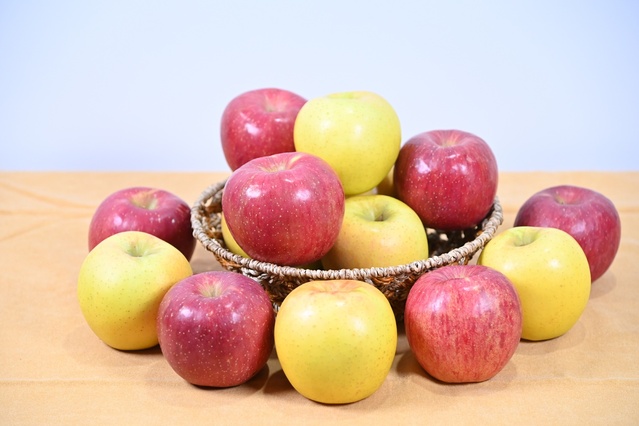 ▲ 청송군(군수 윤경희)은 지역 대표 농특산품인 ‘청송사과’가 2021~2022 여성소비자만족 브랜드 우리농축수산물 부문 대상으로 선정됐다고 밝혔다.ⓒ청송군