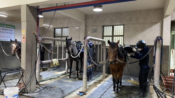 ▲ 대전시설관리공단 복용승마장이 지난 28일 이용회원을 대상으로 ‘6등급 기승 능력인증시험’을 실시했다.ⓒ대전시설관리공단