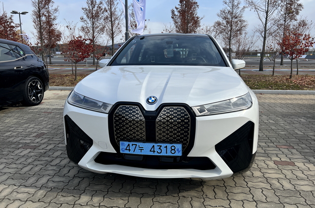 ▲ 수직형 키드니 그릴 모습이 인상적이다. ⓒ김재홍 기자