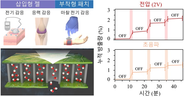 ▲ 자극 감응형 기능성 나노입자 및 하이드로젤 활용 장면.ⓒDGIST