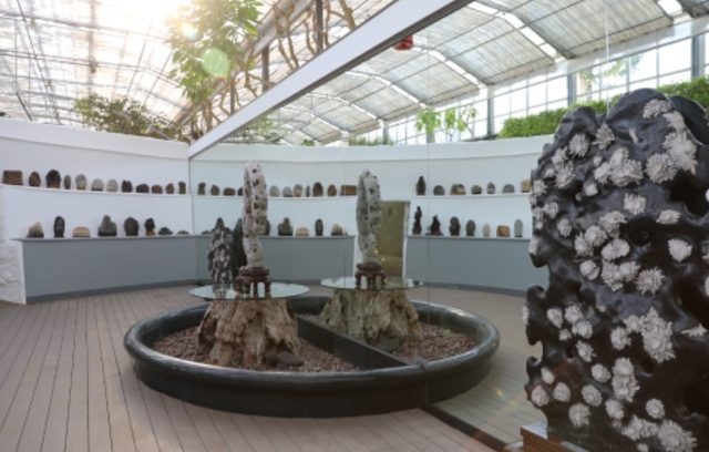 ▲ 세종 베어트리파크 내 온실인 만경비원에 전시된 꽃돌.ⓒ베어트리파크