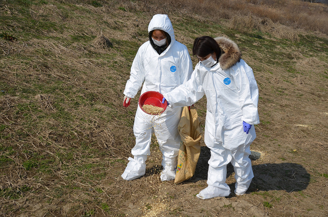 ▲ 대구시는 시민단체(시민구조봉사단, 자연보호봉사단) 협조로 야생동물 전염병인 조류인플루엔자(AI)와 아프리카돼지열병(ASF) 심각단계에도 불구하고 겨울철 먹이가 부족한 야생동물 보호를 위해 야생동물 먹이를 지속적으로 공급할 계획이다.ⓒ대구시