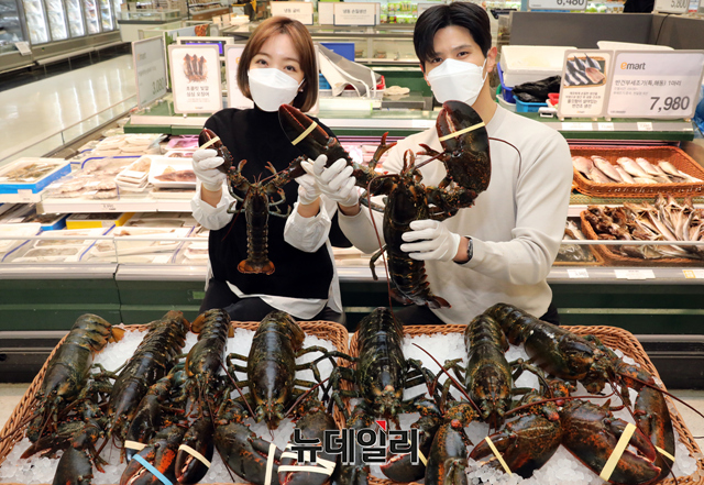 ▲ 캐나다산 점보 랍스터가 출시된 3일 오전 서울 성동구 이마트 성수점에서 모델들이 수산물을 소개하고 있다. 12월 5일까지 마리당 1.6kg~2.4kg 무게의 점보 랍스터를 100g 당 5,480원에 판매한다. 준비 물량 소진시 행사는 종료된다. ⓒ이마트